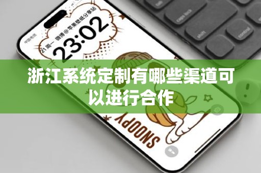浙江系统定制有哪些渠道可以进行合作