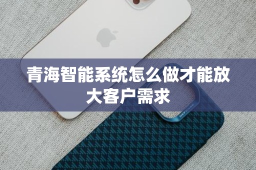 青海智能系统怎么做才能放大客户需求