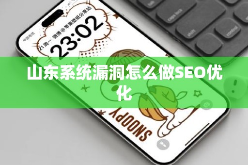 山东系统漏洞怎么做SEO优化