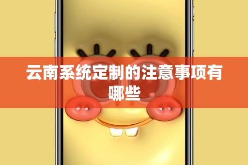云南系统定制的注意事项有哪些
