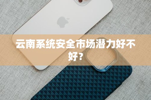 云南系统安全市场潜力好不好？
