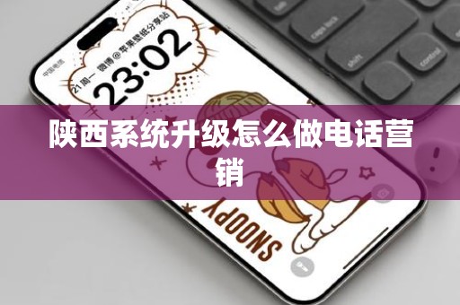 陕西系统升级怎么做电话营销