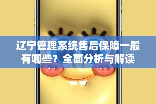 辽宁管理系统售后保障一般有哪些？全面分析与解读
