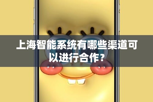 上海智能系统有哪些渠道可以进行合作？