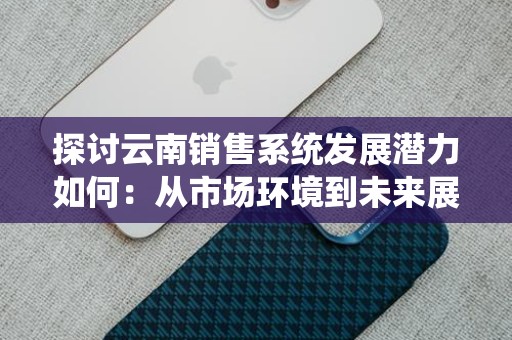 探讨云南销售系统发展潜力如何：从市场环境到未来展望