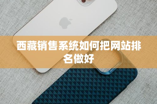 西藏销售系统如何把网站排名做好