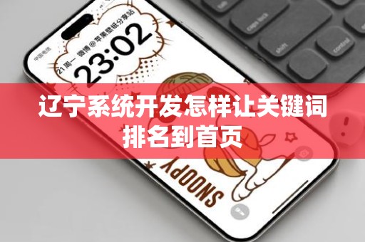 辽宁系统开发怎样让关键词排名到首页
