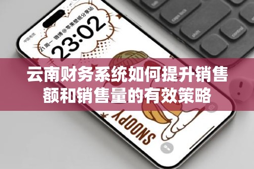 云南财务系统如何提升销售额和销售量的有效策略