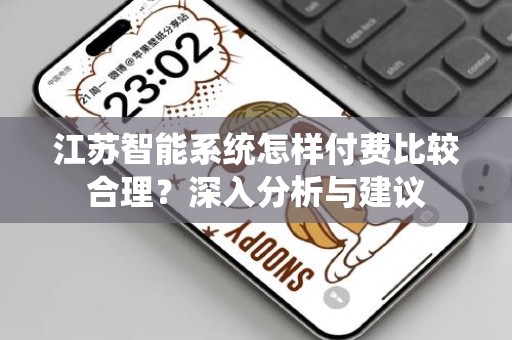 江苏智能系统怎样付费比较合理？深入分析与建议