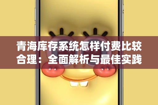 青海库存系统怎样付费比较合理：全面解析与最佳实践