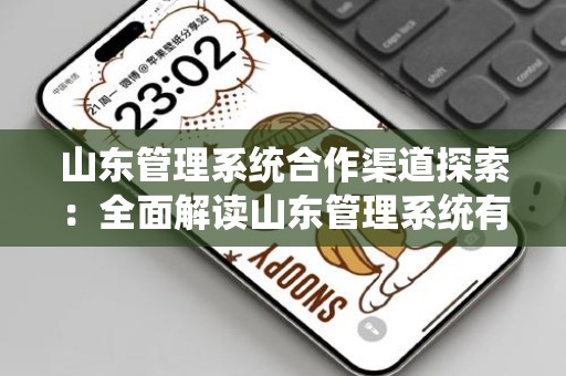 山东管理系统合作渠道探索：全面解读山东管理系统有哪些渠道可以进行合作
