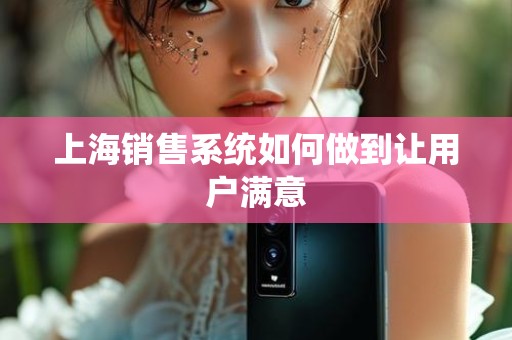 上海销售系统如何做到让用户满意