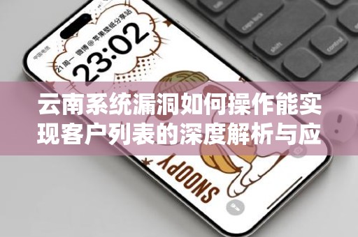 云南系统漏洞如何操作能实现客户列表的深度解析与应对策略