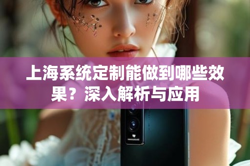 上海系统定制能做到哪些效果？深入解析与应用