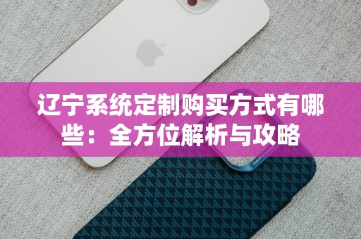 辽宁系统定制购买方式有哪些：全方位解析与攻略
