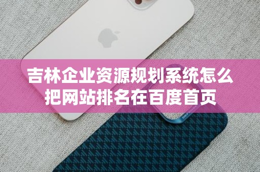 吉林企业资源规划系统怎么把网站排名在百度首页