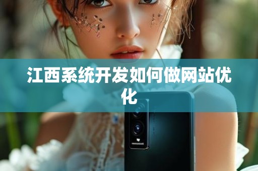 江西系统开发如何做网站优化