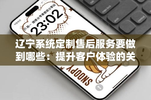 辽宁系统定制售后服务要做到哪些：提升客户体验的关键要素