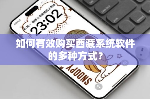 如何有效购买西藏系统软件的多种方式？