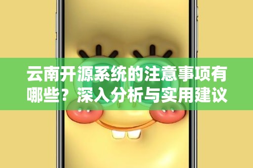云南开源系统的注意事项有哪些？深入分析与实用建议