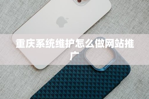 重庆系统维护怎么做网站推广