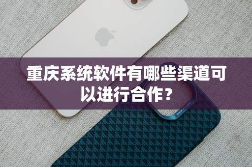 重庆系统软件有哪些渠道可以进行合作？