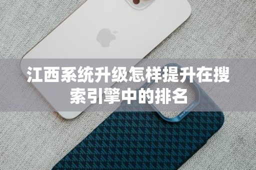 江西系统升级怎样提升在搜索引擎中的排名