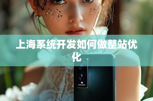 上海系统开发如何做整站优化