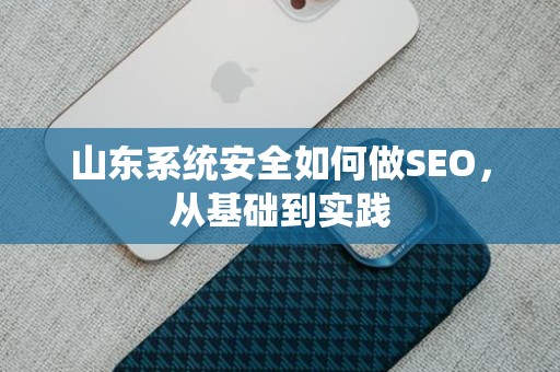 山东系统安全如何做SEO，从基础到实践