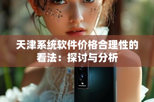 天津系统软件价格合理性的看法：探讨与分析