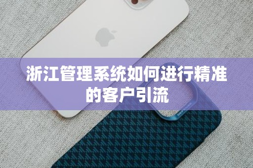 浙江管理系统如何进行精准的客户引流