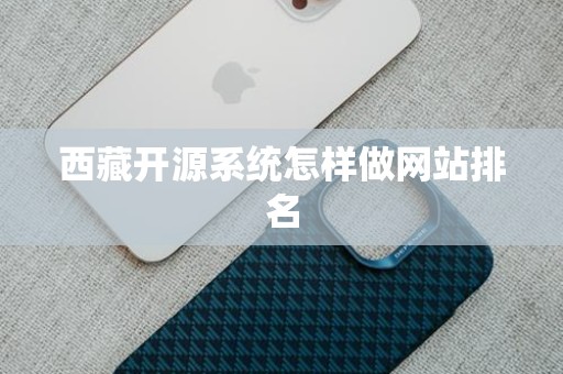 西藏开源系统怎样做网站排名