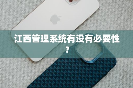 江西管理系统有没有必要性？