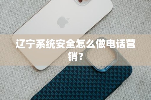 辽宁系统安全怎么做电话营销？