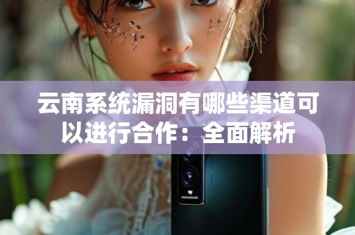 云南系统漏洞有哪些渠道可以进行合作：全面解析