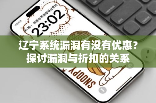 辽宁系统漏洞有没有优惠？探讨漏洞与折扣的关系