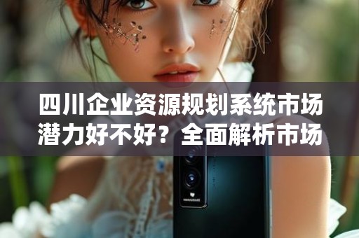 四川企业资源规划系统市场潜力好不好？全面解析市场前景与发展机会