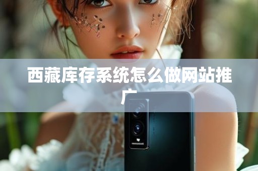 西藏库存系统怎么做网站推广