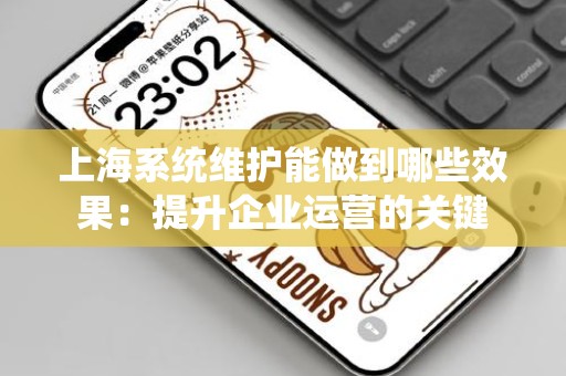 上海系统维护能做到哪些效果：提升企业运营的关键