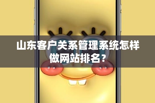 山东客户关系管理系统怎样做网站排名？