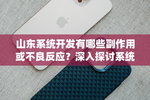 山东系统开发有哪些副作用或不良反应？深入探讨系统开发的潜在风险