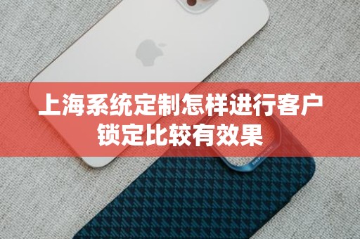 上海系统定制怎样进行客户锁定比较有效果