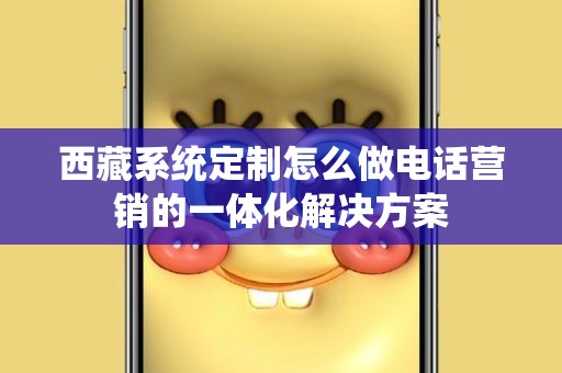 西藏系统定制怎么做电话营销的一体化解决方案