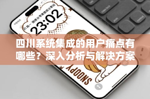 四川系统集成的用户痛点有哪些？深入分析与解决方案
