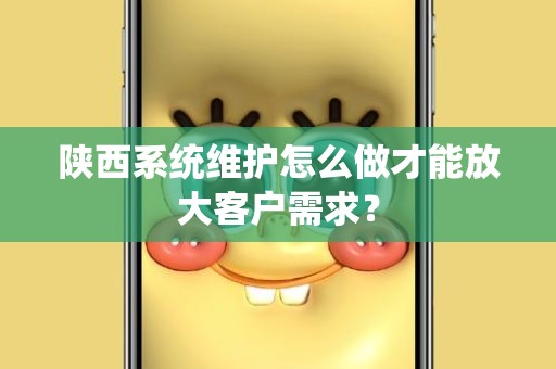 陕西系统维护怎么做才能放大客户需求？