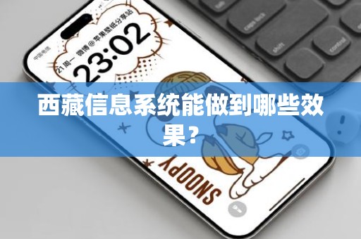 西藏信息系统能做到哪些效果？