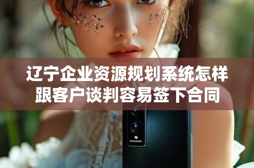 辽宁企业资源规划系统怎样跟客户谈判容易签下合同