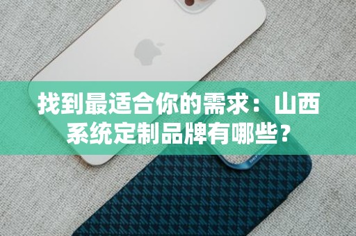 找到最适合你的需求：山西系统定制品牌有哪些？