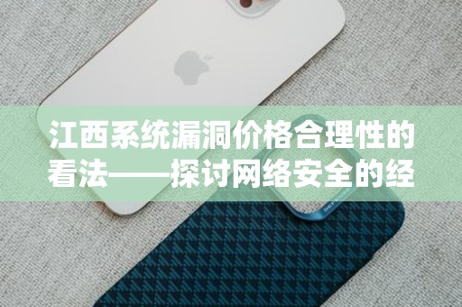 江西系统漏洞价格合理性的看法——探讨网络安全的经济学