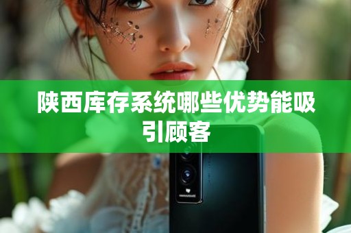 陕西库存系统哪些优势能吸引顾客